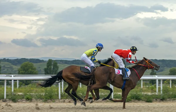 Hästkapplöpning i Pyatigorsk — Stockfoto