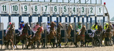 At yarışı Pyatigorsk içinde başlamak. 