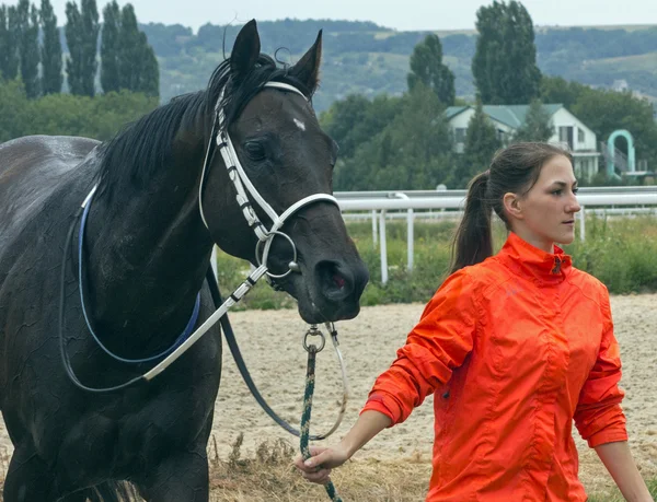 Flickan och hennes häst — Stockfoto