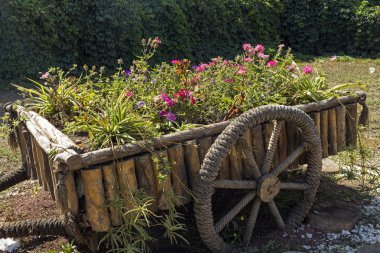 Erivan'da flowerbed.