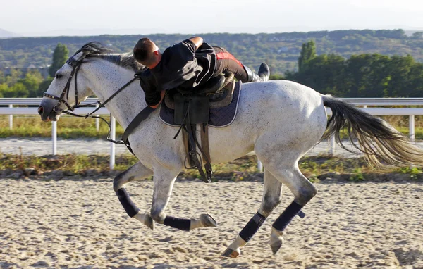 Trik na koni ve městě Pyatigorsk — Stock fotografie