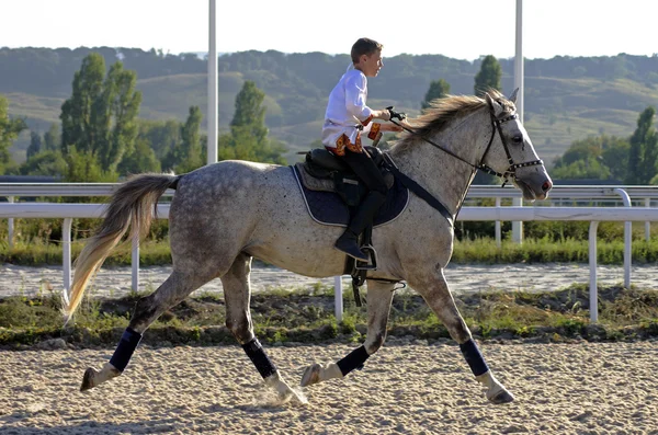 Trik na koni ve městě Pyatigorsk — Stock fotografie