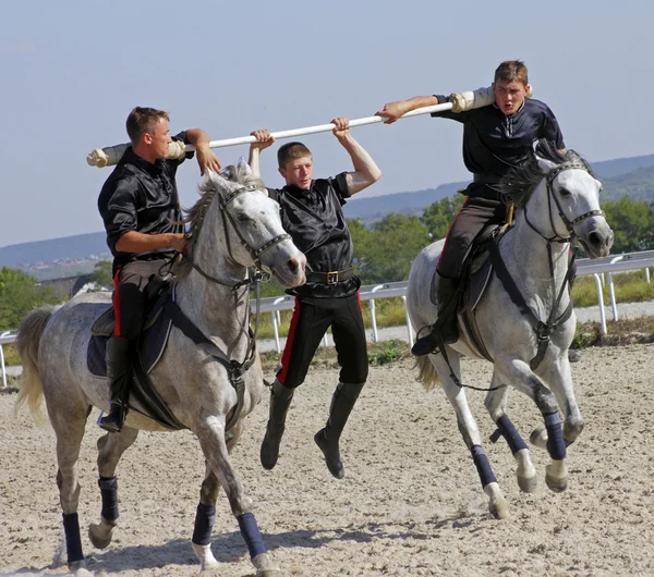 Trick-Reiten Pjatigorsk — Stockfoto