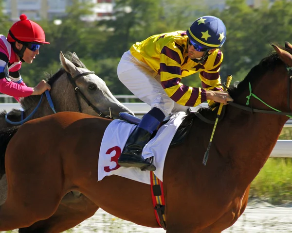 Jockeys, Pyatigorsk — Stockfoto