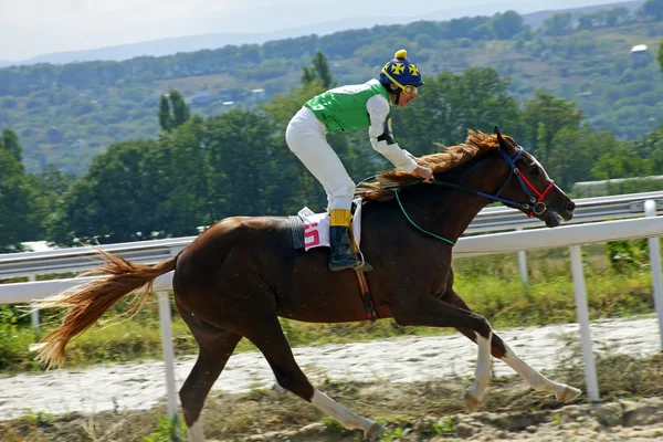 ピャチゴルスクでの競馬. — ストック写真