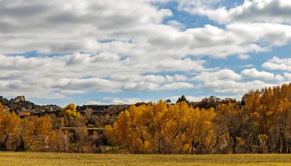 Golden Yellow Trees Autumn Colorado Stati Uniti America — Foto Stock