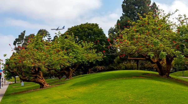 California Landscape Spring Day — Stock Photo, Image