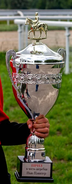 Zafer Gümüş Kupası Aygır Yeni Peinter Onuruna — Stok fotoğraf