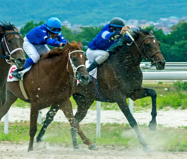 Pyatigorsk Russia July 2020 Finish Horse Race Nazarov Prize Pyatigorsk — Stock Photo, Image