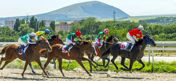 Pyatigorsk Russland August 2020 Ziel Des Pferderennens Den Großen Sommerpreis — Stockfoto