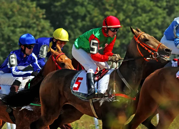 Pyatigorsk Russia September 2010 Start Van Paardenrace Voor Grote Herfstprijs — Stockfoto