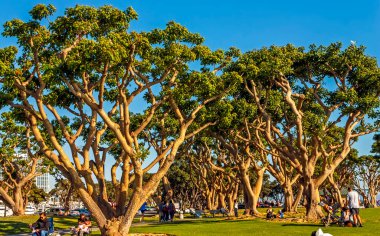SAN DIEGO, CA - 7 Nisan 2014: Eski şehir Park San Diego, Kaliforniya, Amerika Birleşik Devletleri manzarası.