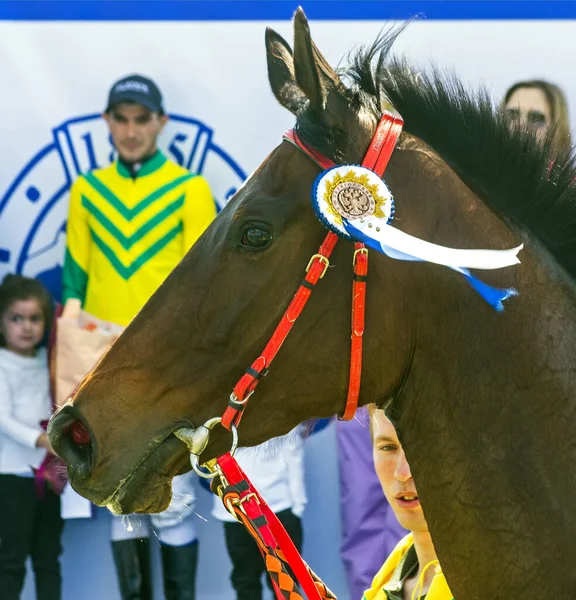 Pyatigorsk Russia May 2021 Winner Trainer Nazarov Prize Chestnut Mare — 스톡 사진