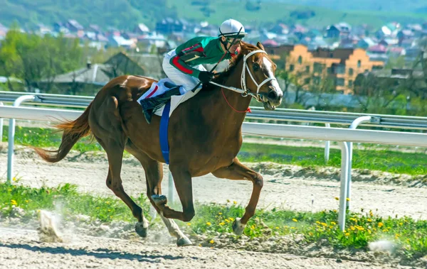 Pyatigorsk Ryssland Maj 2021 Hästkapplöpning För Minnet Jockey Pshukov Prize — Stockfoto