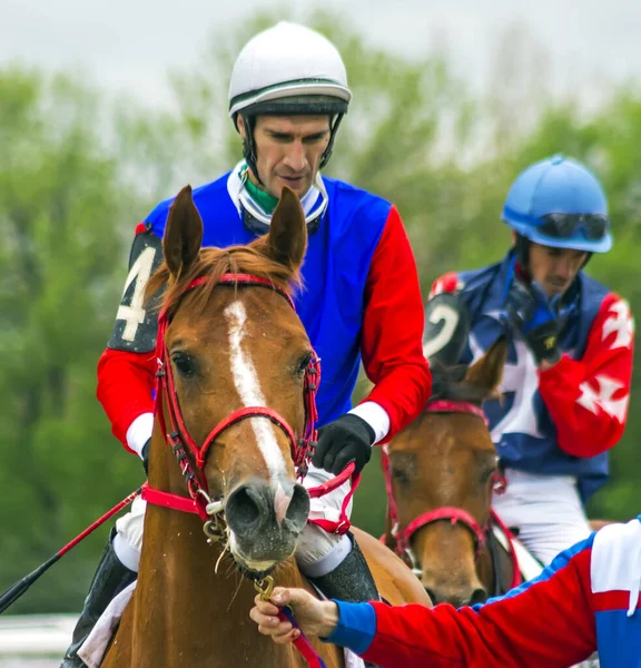 Pyatigorsk Russia May 2021 Hores Race Hores Race Ahead Jockey — 스톡 사진