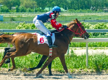 PYATIGORSK, RUSSIA - Mayıs 16.2021: Pyatigorsk Hipodromu Duruşma Ödülü için at yarışı. Baş jokey Guseinov Arap aygırı Burevestnik Tersk hakkında.