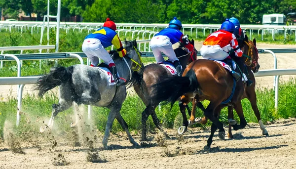 Piatigorsque Rússia Maio 2021 Termine Corrida Cavalos Para Prêmio Entrada — Fotografia de Stock