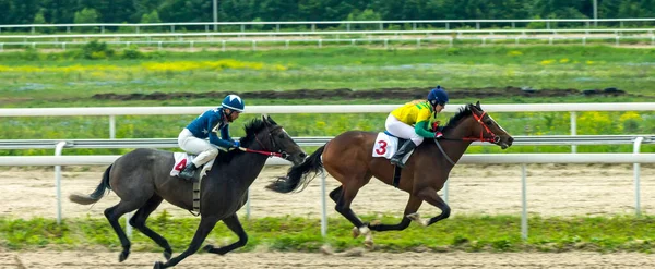 Pyatigorsk Russia Maj 2021 Hästkapplöpning Till Testpriset Före Jockeyn Pshukov — Stockfoto