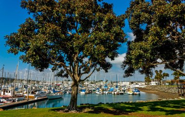 SAN DIEGO, CA - 13 Nisan 2014: San Diego Marina, arka planda eğlence tekneleri.