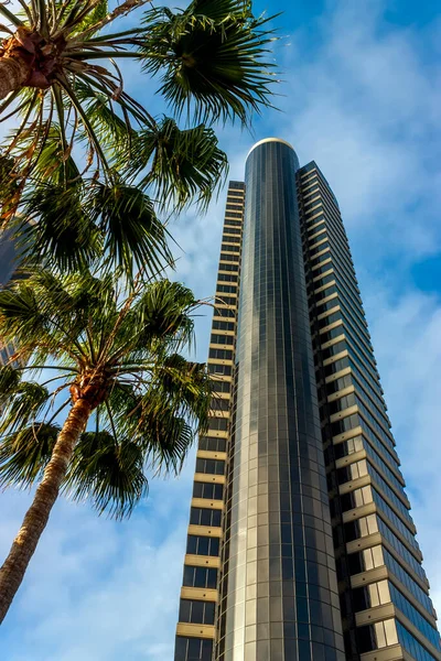 Edificio Moderno Alto Con Palmeras Cielo Azul California — Foto de Stock