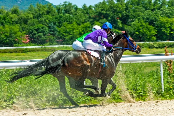 Pyatigorsk Rússia Junho 2013 Termine Corrida Cavalos Para Hipódromo Pyatigorsk — Fotografia de Stock