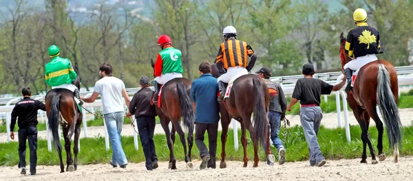 Pyatigorsk Russia May 2010 Race Spring Prize Pyatigorsk Hippodrome Northern — стокове фото