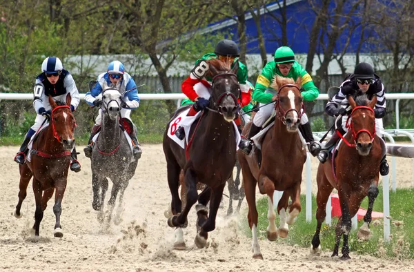 Pyatigorsk Russia Maggio 2010 Corsa Cavallo Premio Oks Pyatigorsk Caucaso — Foto Stock