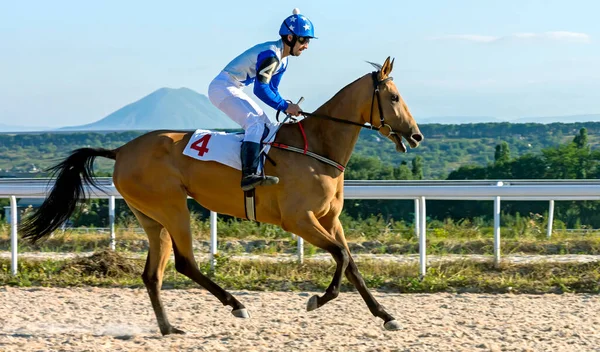 Pyatigorsk Russia Agosto 2015 Gara Premio Della Grande Estate Pyatigorsk — Foto Stock