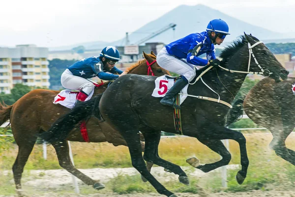 Pyatigorsk Rusia Septiembre 2016 Carrera Caballos Premio Del Cáucaso Norte Imágenes de stock libres de derechos