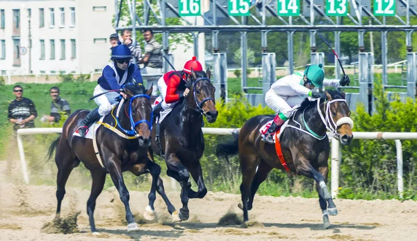 Nalchik Russie Mei 2015 Start Poorten Voor Paardenraces Voor Prijs — Stockfoto