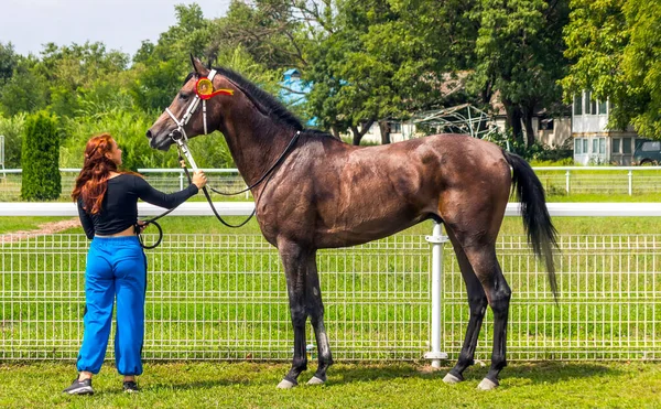 Pyatigorsk Rusia Agosto 2021 Ganador Del Premio Big Sprint Semental —  Fotos de Stock