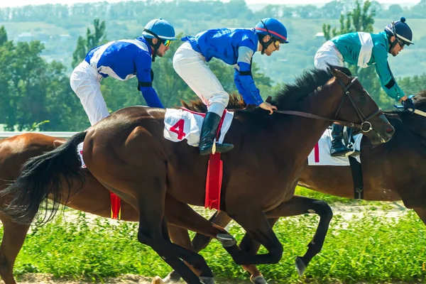 Pyatigorsk Rússia Agosto 2021 Portões Partida Para Corridas Cavalos Para — Fotografia de Stock