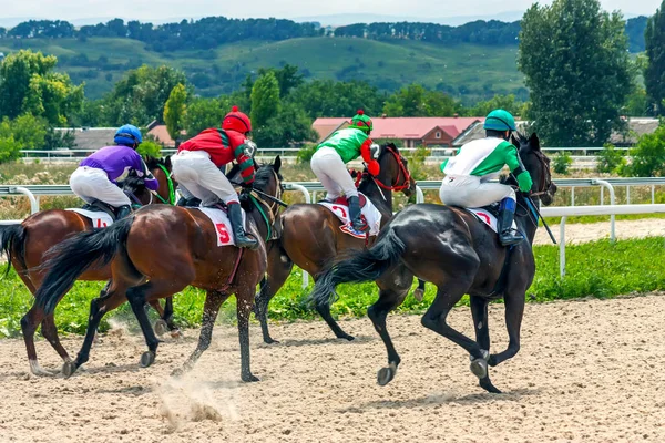 Pyatigorsk Rússia Julho 2014 Termine Corrida Cavalos Pelo Prêmio Verão Fotos De Bancos De Imagens Sem Royalties
