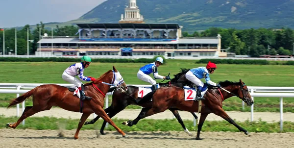 Pyatigorsk Rusia Agosto 2011 Finalizar Carrera Caballos Para Premio Del — Foto de Stock