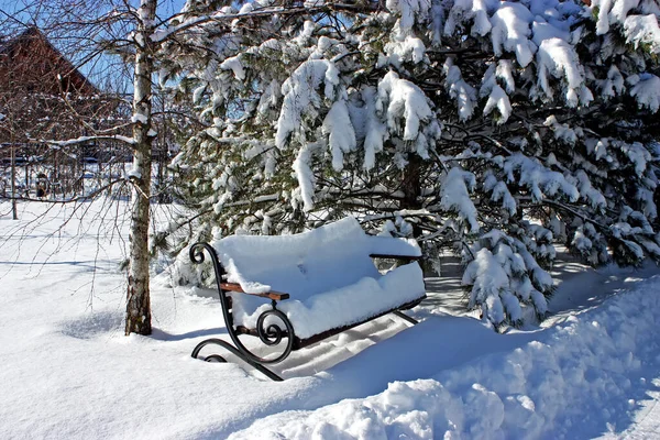 Banc Dans Neige Sur Fond Forêt Hivernale — Photo