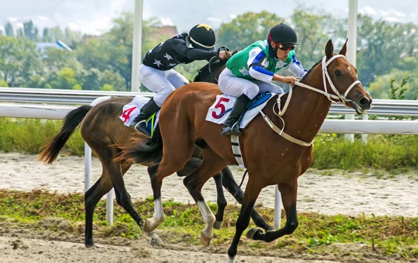 Pyatigorsk Rússia Setembro 2021 Termine Corrida Cavalos Pelo Prêmio Outono — Fotografia de Stock