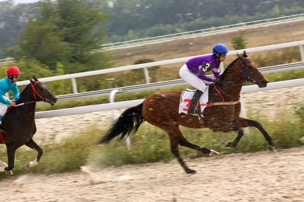 Carreras de caballos . —  Fotos de Stock