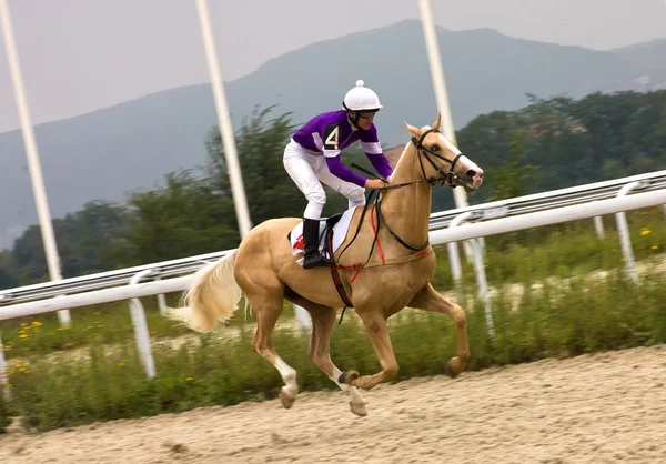 Corrida de cavalos . — Fotografia de Stock