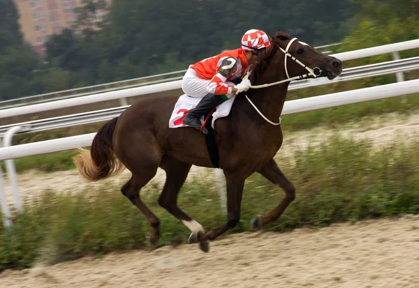 Corrida de cavalos . — Fotografia de Stock