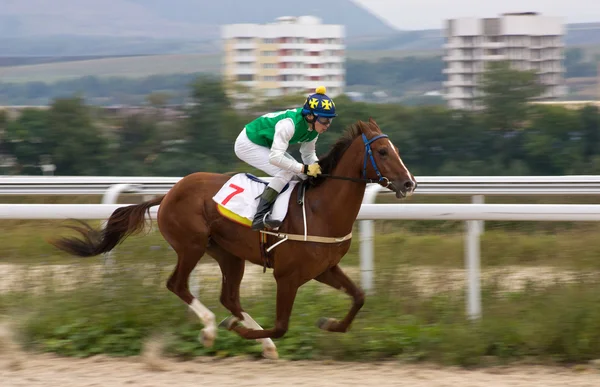 Corrida de cavalos . — Fotografia de Stock