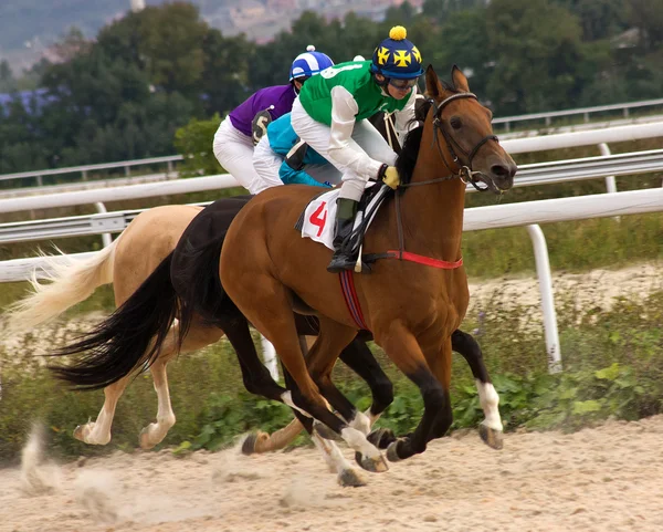 Paardenrennen. — Stockfoto