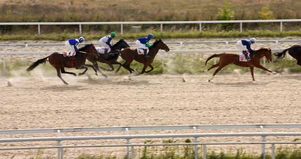 Corrida de cavalos . — Fotografia de Stock