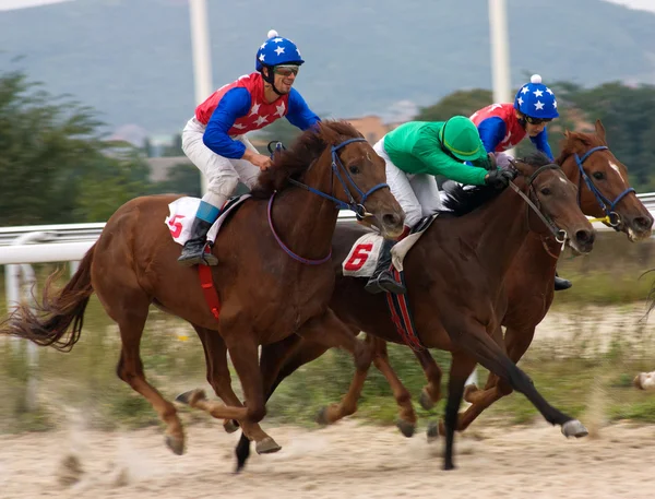 Horse racing. Royalty Free Stock Images