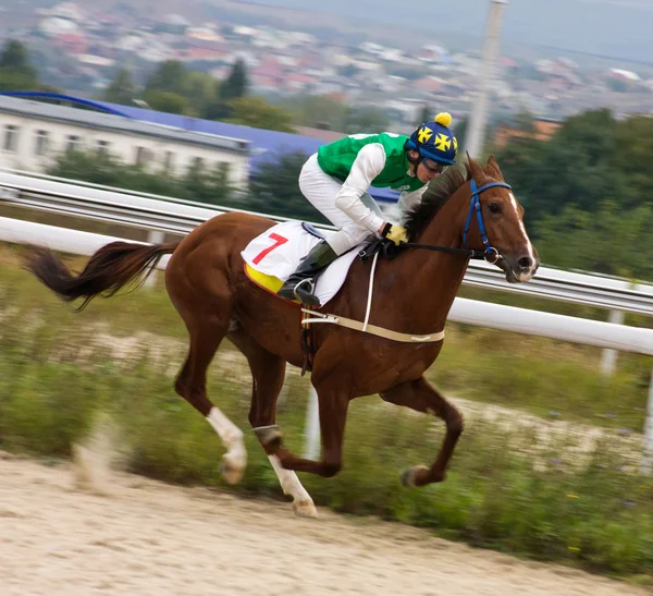 Corrida de cavalos . — Fotografia de Stock