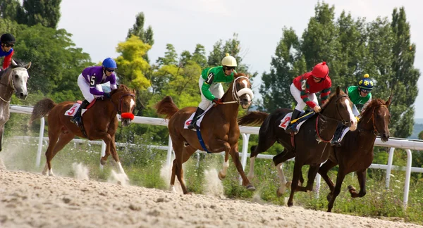 Pferderennen. — Stockfoto