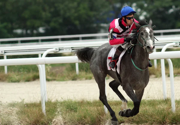 Carreras de caballos . — Foto de Stock