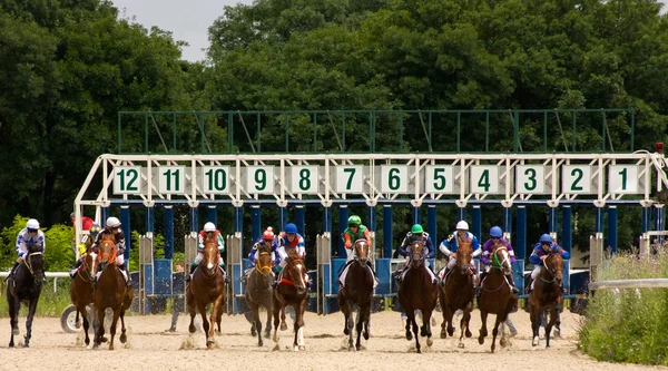 Corrida de cavalos — Fotografia de Stock