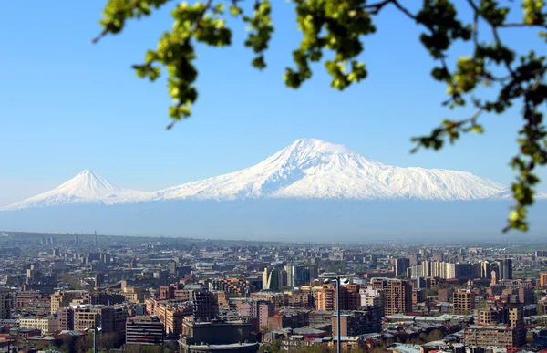 Ağrı Dağı ve Yerevan şehir. — Stok fotoğraf