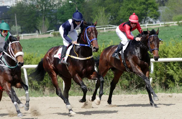 Paardenrennen Rechtenvrije Stockfoto's