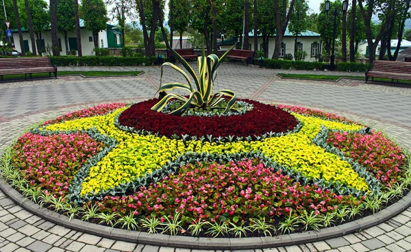 Cama de flores — Fotografia de Stock